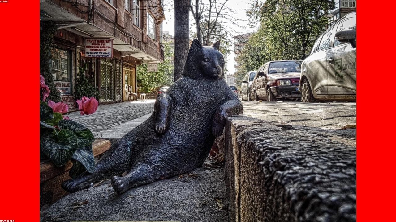 बांग्लादेश की राजनीति में बड़ा उलटफेर: जेल से सीधे सत्ता के शिखर तक पहुंचे ये तीन दिग्गज नेता