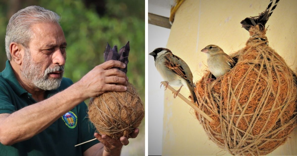 नेस्ट मैन: 5 Amazing Secrets of India’s Ultimate Bird Savior राकेश खत्री